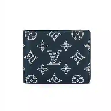 Louis Vuitton Multiple Wallet