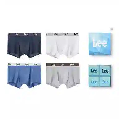 Lee 4