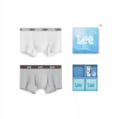 Lee 2