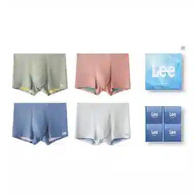 Lee 4