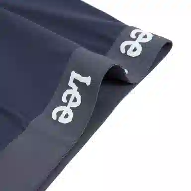 Lee 5