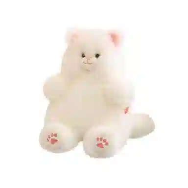 40cm50cm