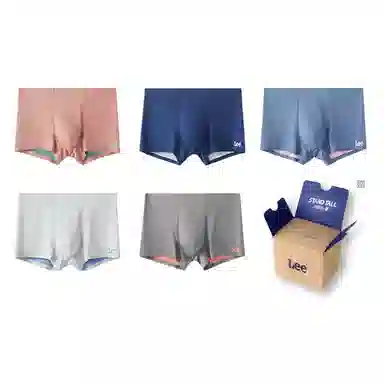 Lee 5