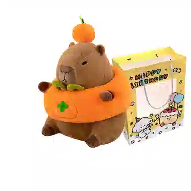 25cm35cm