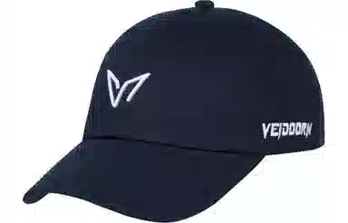 VEIDOORN Logo