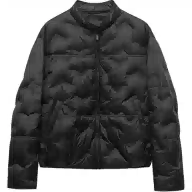 雅鹿 韩版简约立领棉服 女款