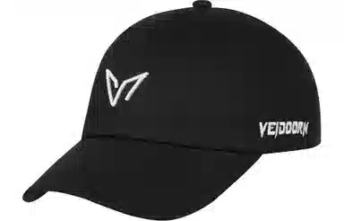 VEIDOORN Logo