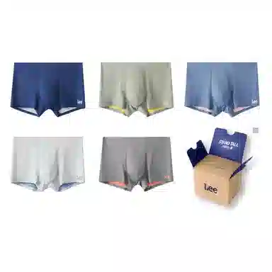 Lee 5