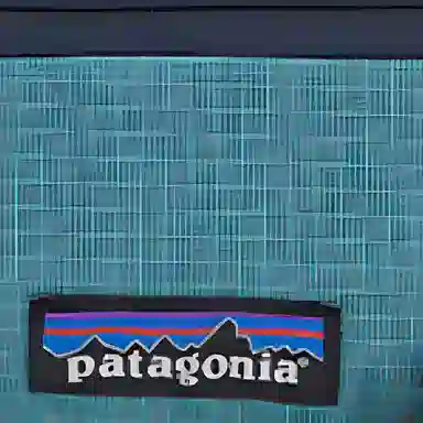 patagonia Mini Hip 1L
