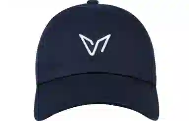 VEIDOORN Logo