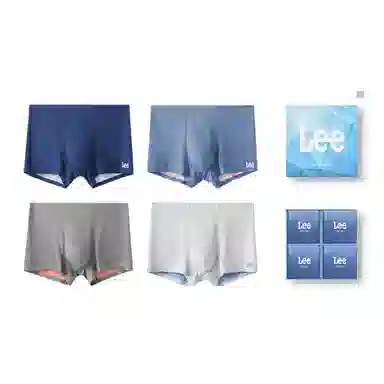 Lee 4