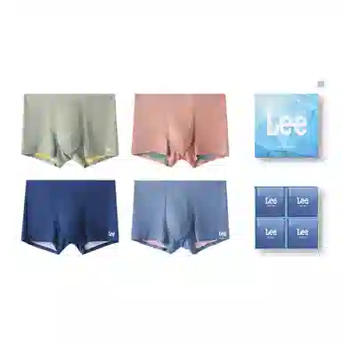 Lee 4
