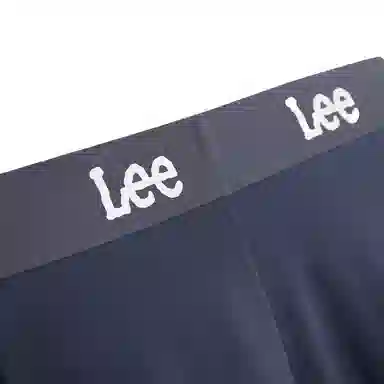 Lee 4