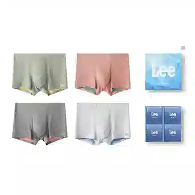 Lee 4