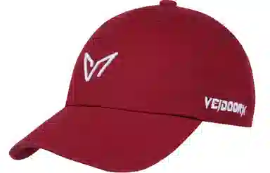 VEIDOORN Logo