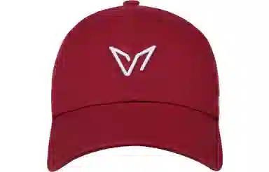 VEIDOORN Logo