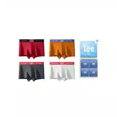 Lee 4