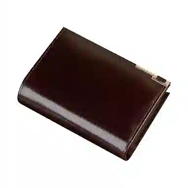 WilliamPOLO Wallet