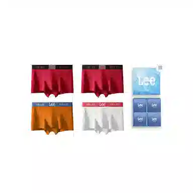 Lee 4