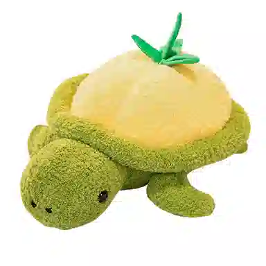 Teacher Lin 35cm50cm60cm80cm