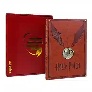 Harry Potter Golden Snitch Notebook