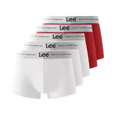 Lee 5