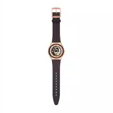 SWATCH 30 42mm