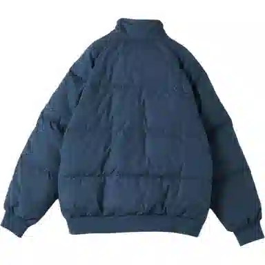 THE NORTH FACE FW24 PURPLE LABEL Field Logo