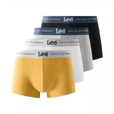 Lee 4