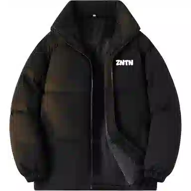 ZNTN Logo