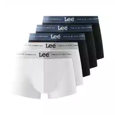 Lee 5