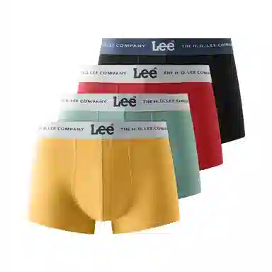 Lee 4