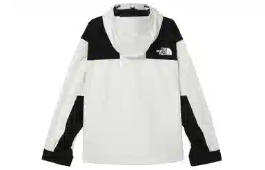 THE NORTH FACE 1986FUTURELIGHTLOGO