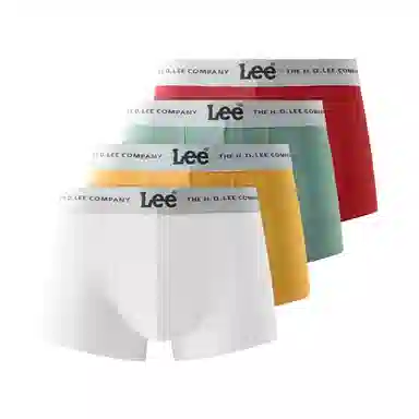 Lee 4