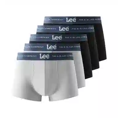 Lee 5