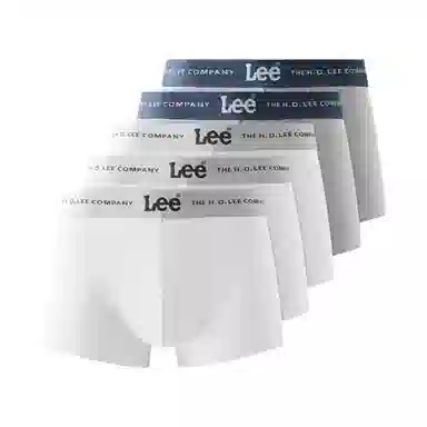 Lee 5