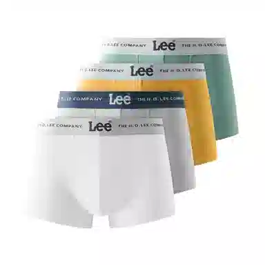 Lee 4