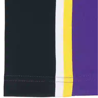 Jordan NBA Anthony Davis 3 Lakers Jersey Purple