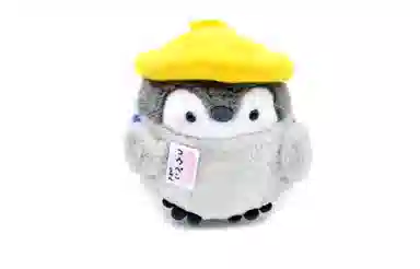 DAP