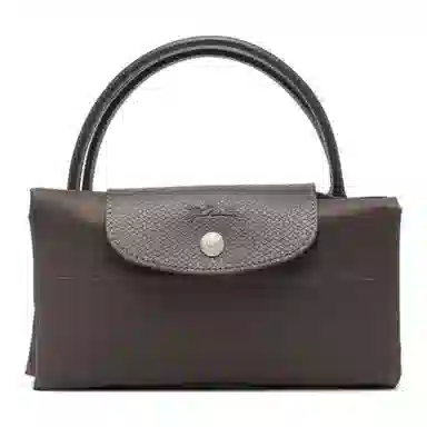 Longchamp Le Pliage Green Brown