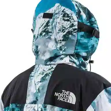 The North Face x Invincible Printed Mountain Jacket