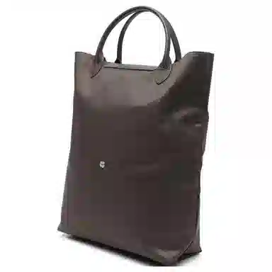 Longchamp Le Pliage Green Brown