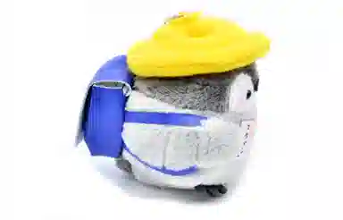DAP
