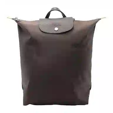 Longchamp Backpack Brown