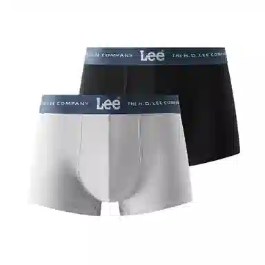Lee 2