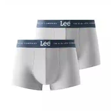 Lee 2