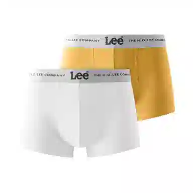 Lee 2