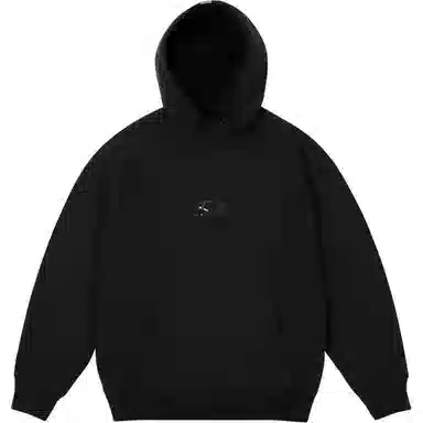 PALACE x Oakley FW24 logo