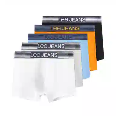 Lee 5