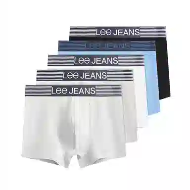 Lee 5